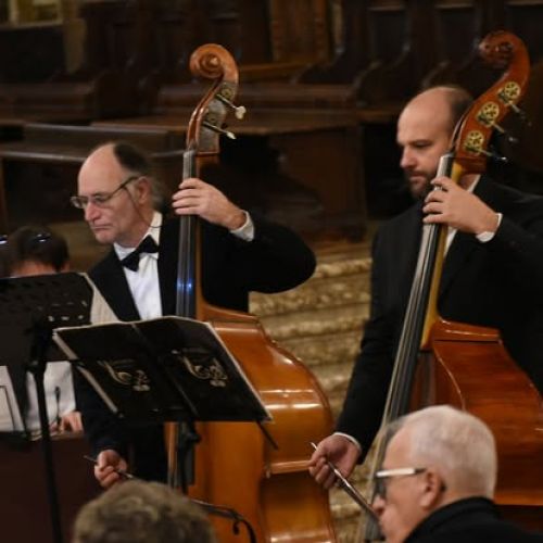 Concerto Bellezza e Armonia 04